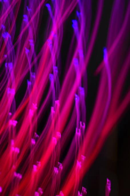 anton-maksimov-juvnsky-3kiAL64YPdA-unsplash-1